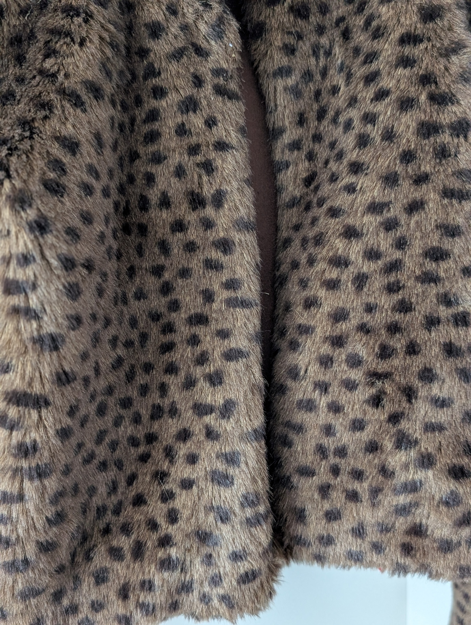 PXL_20251101_034821692.PORTRAIT