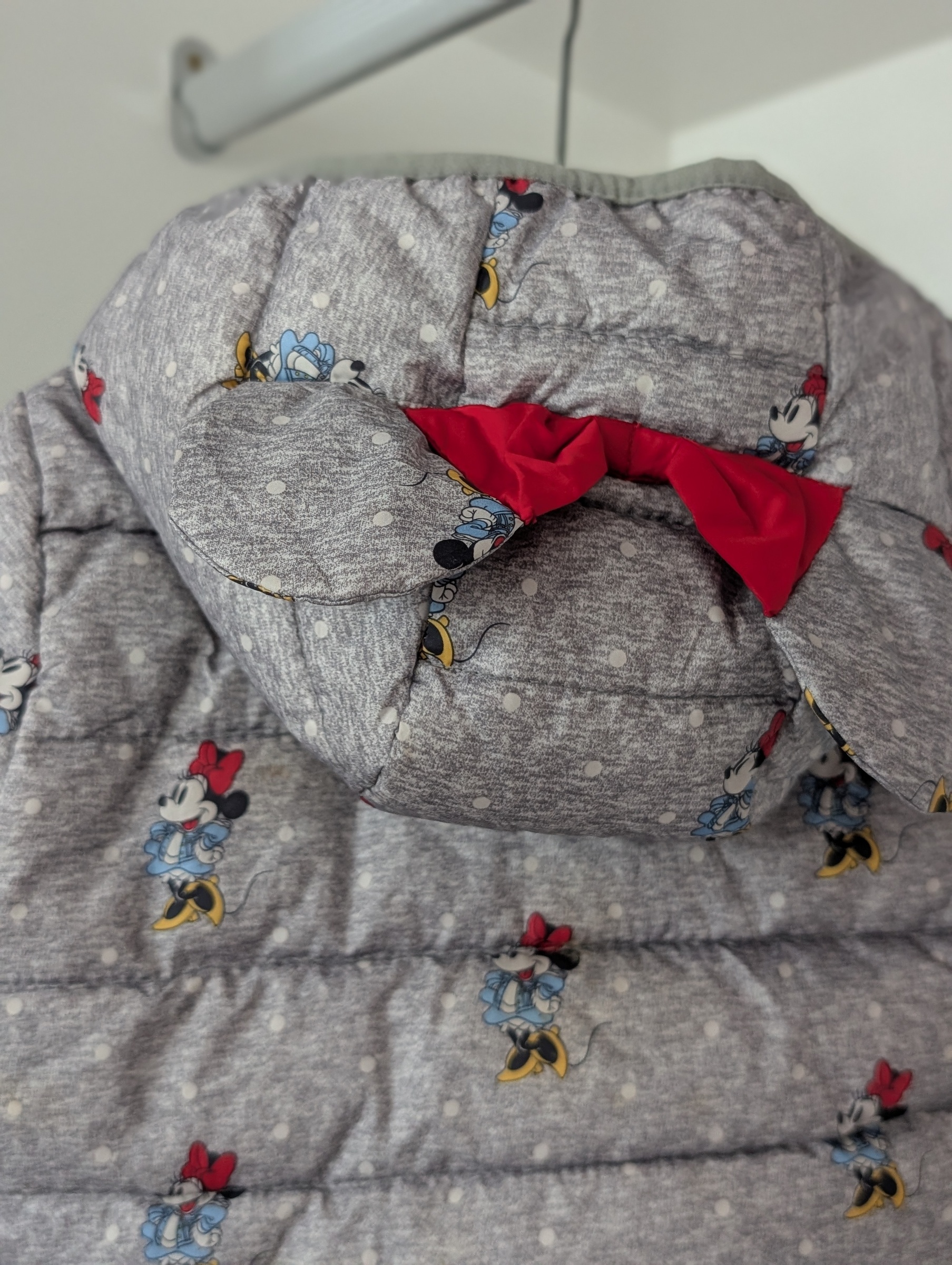 PXL_20251101_035200511.PORTRAIT