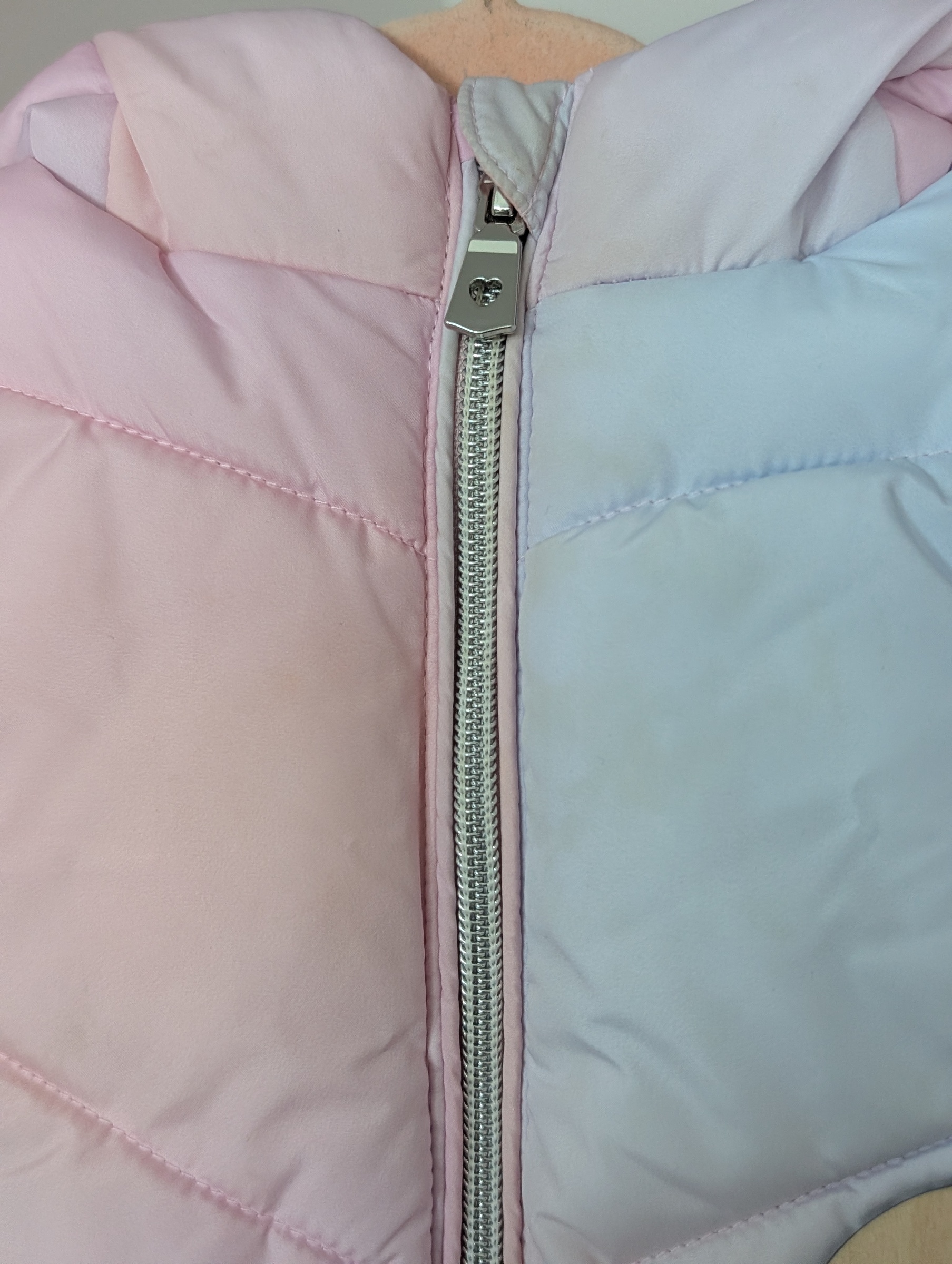 PXL_20251101_035611321.PORTRAIT.ORIGINAL