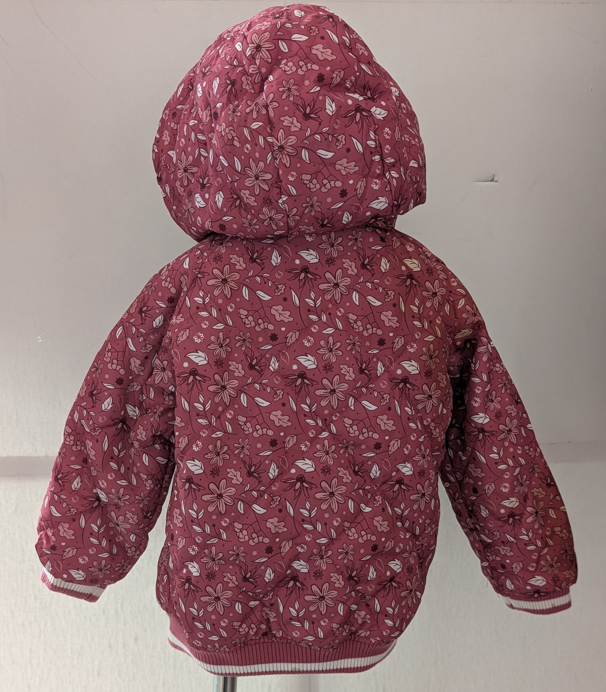 PXL_20251101_052828579.PORTRAIT.ORIGINAL