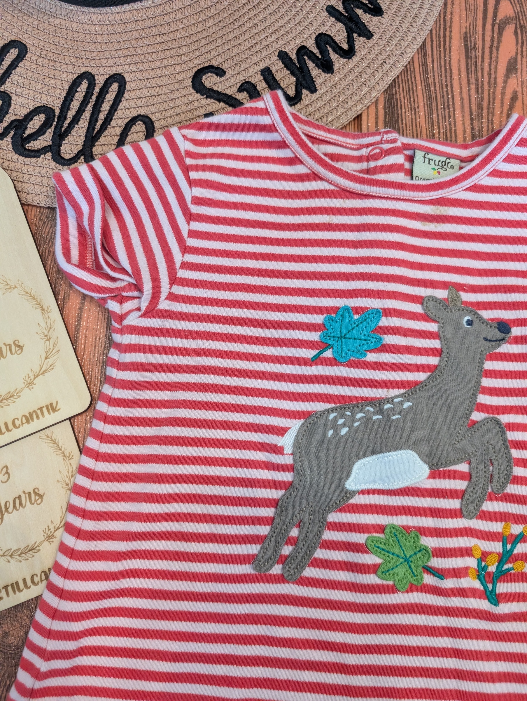 PXL_20251213_020626309