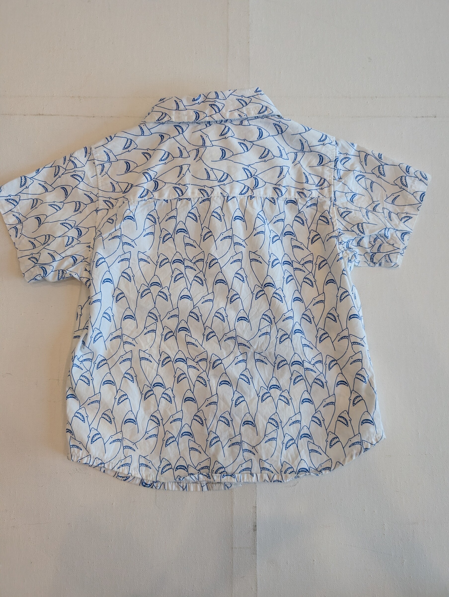 PXL_20251220_081724912~2