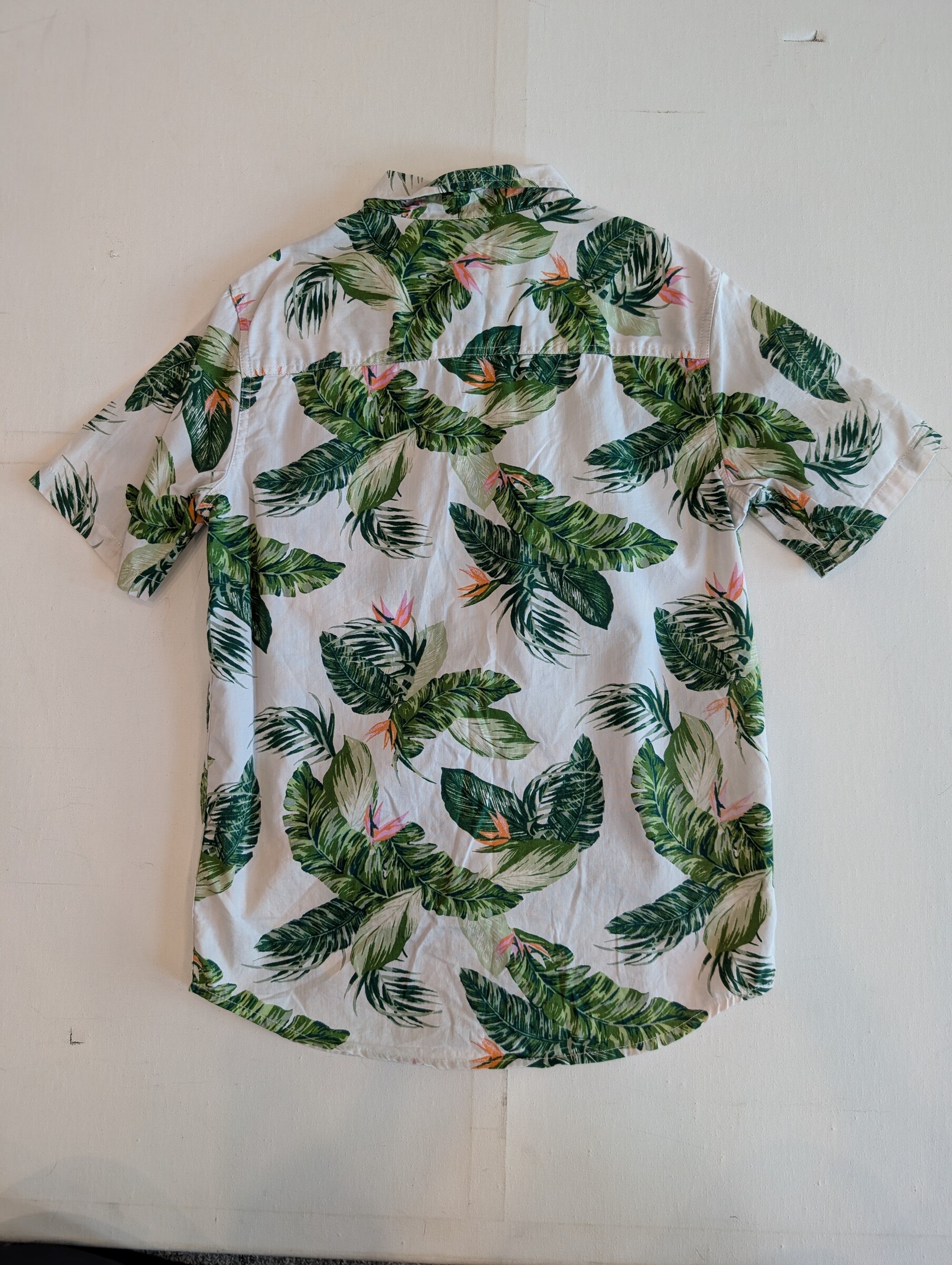 PXL_20251220_082301401~2