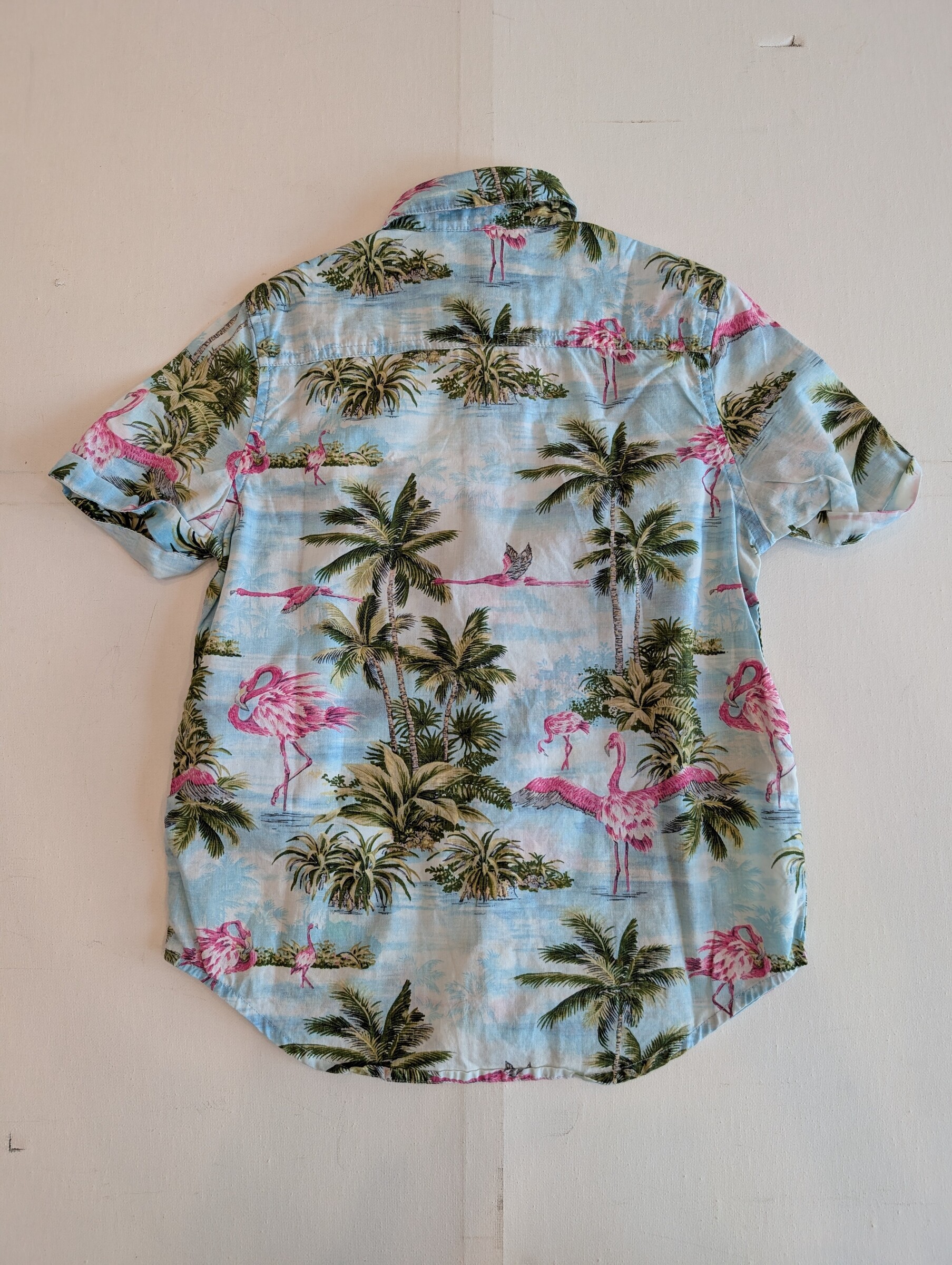 PXL_20251220_082417160~2