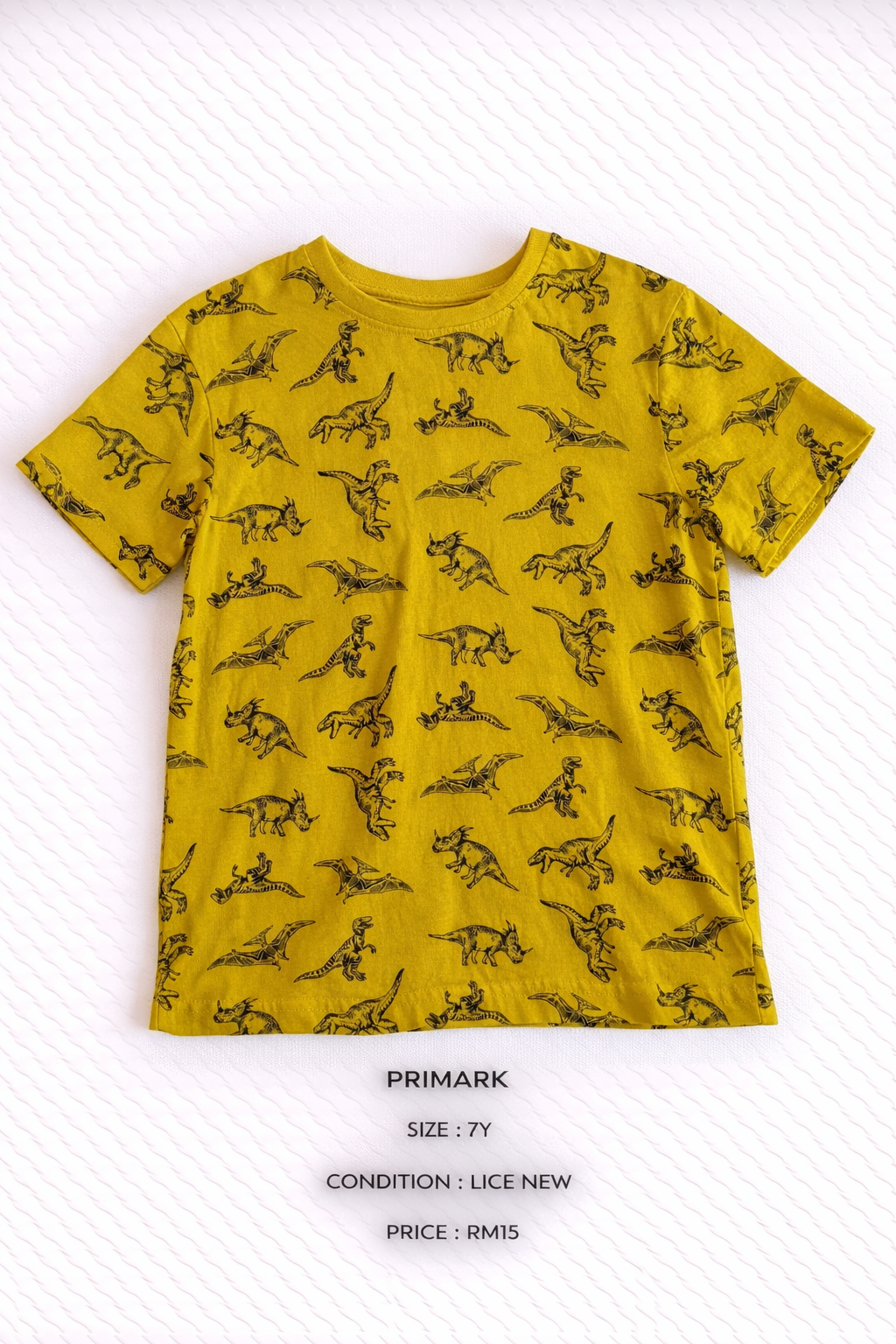 ChatGPT Image Dec 21, 2025, 04_51_00 PM