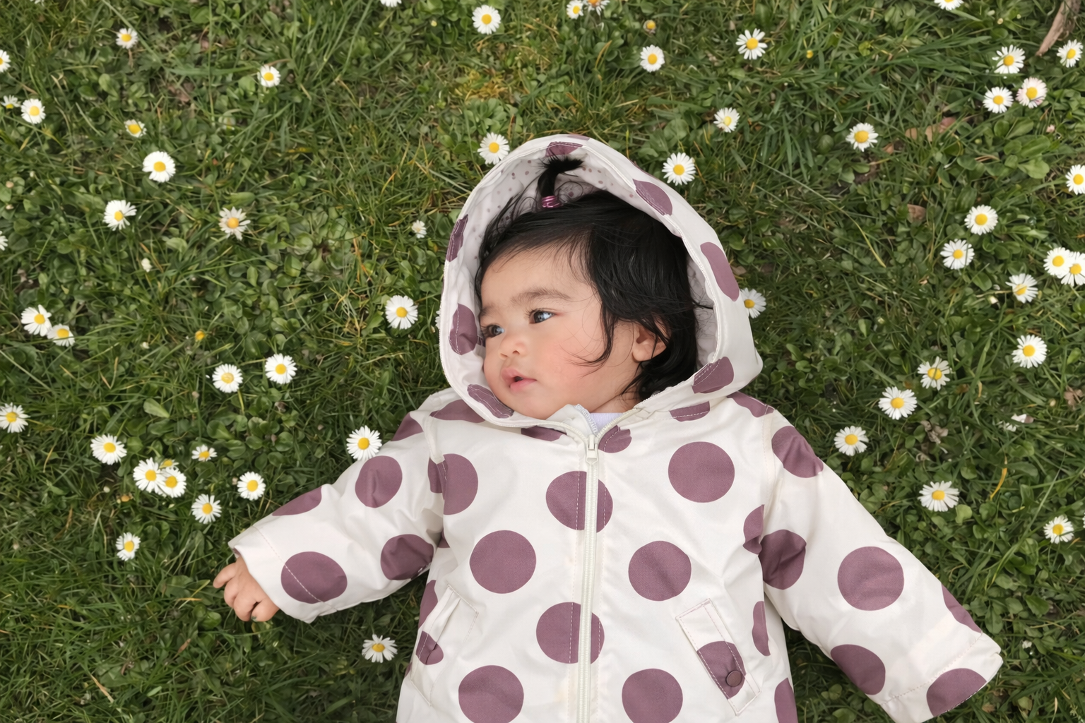 5dc8bcff-ff4a-4ef1-b625-4dc16712ea5d