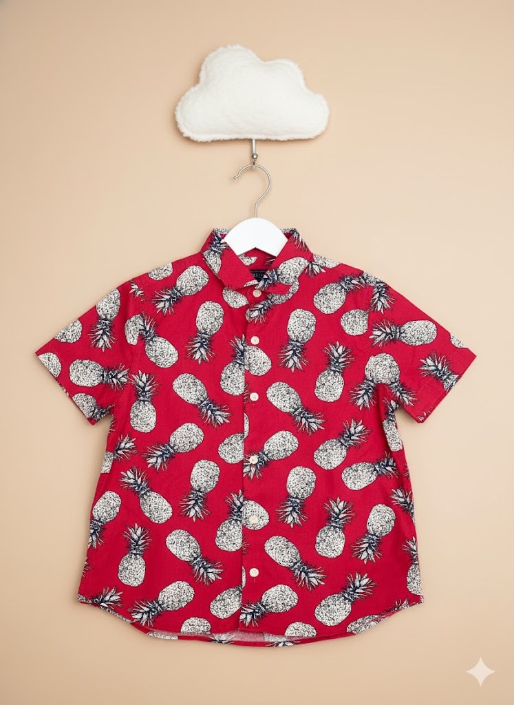 unnamed - 2026-01-11T105045.651