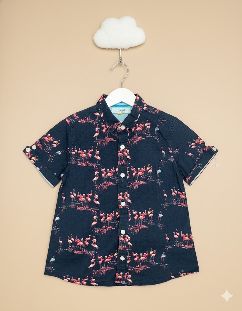 unnamed - 2026-01-11T114536.424