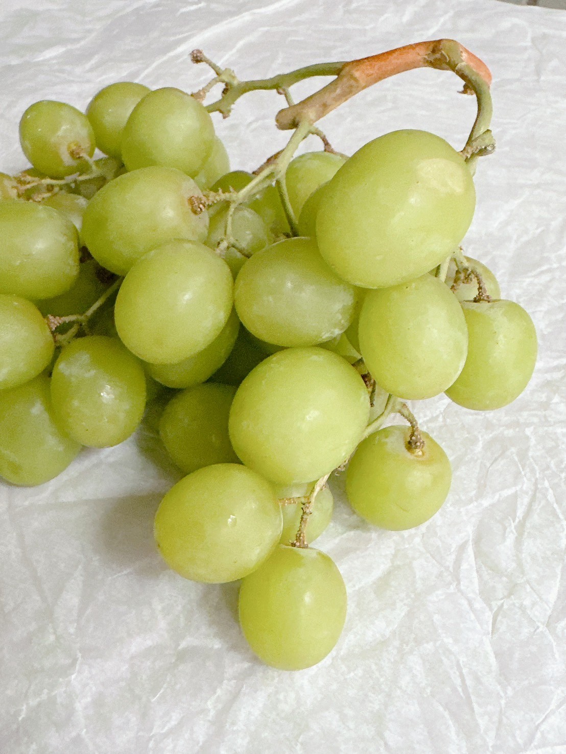 LINE_ALBUM_202535_250316_3