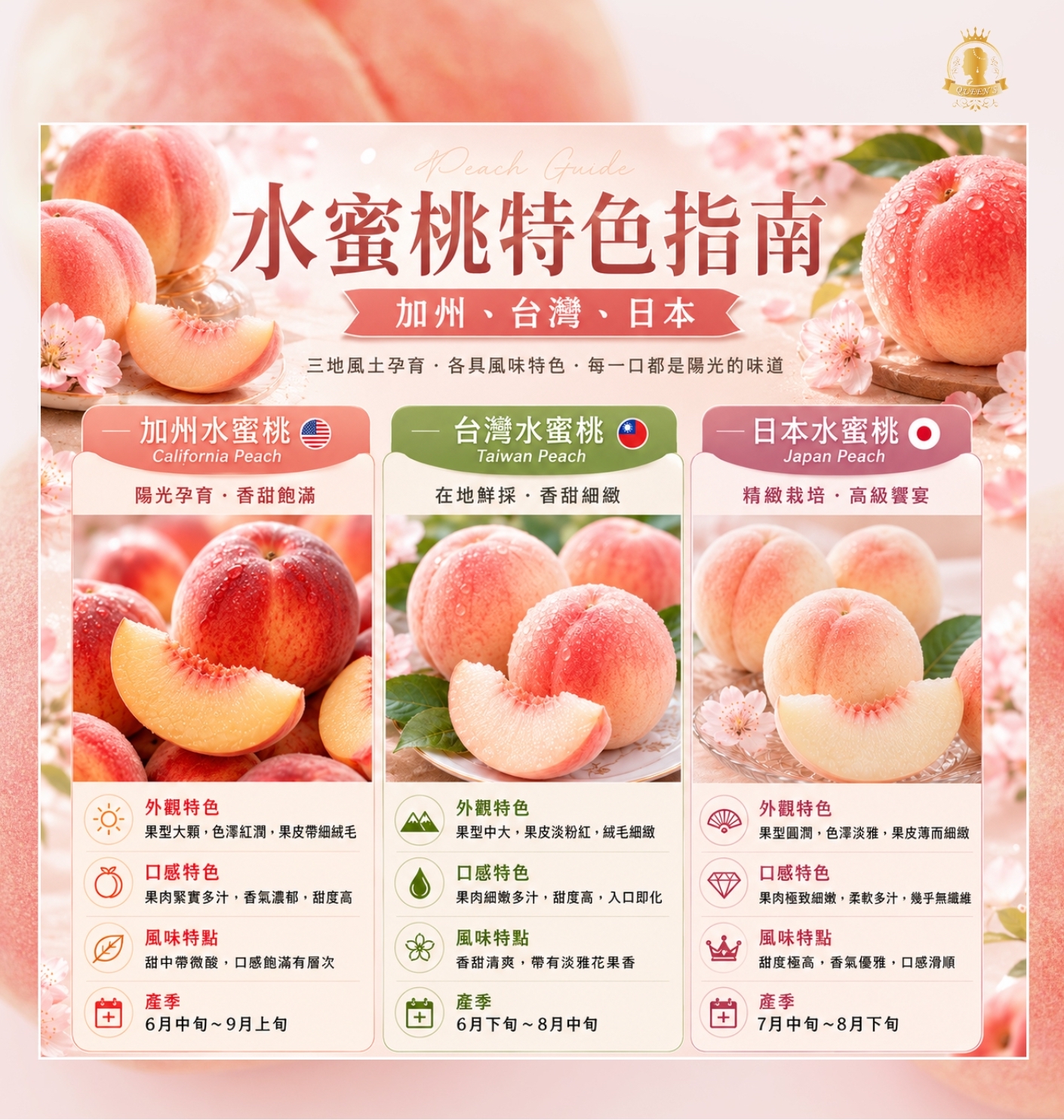 女王禮盒DM(1)