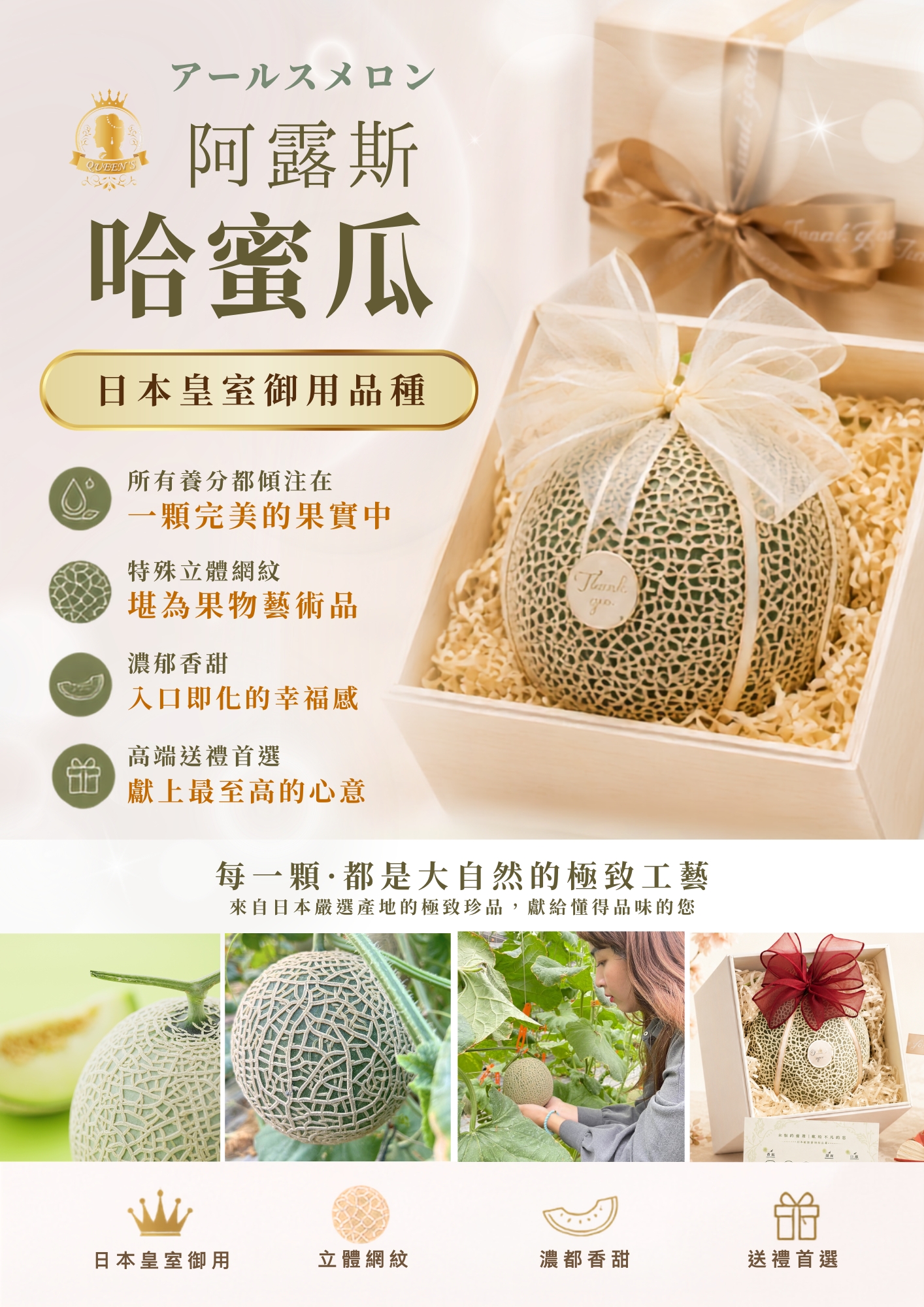 女王禮盒DM(2)