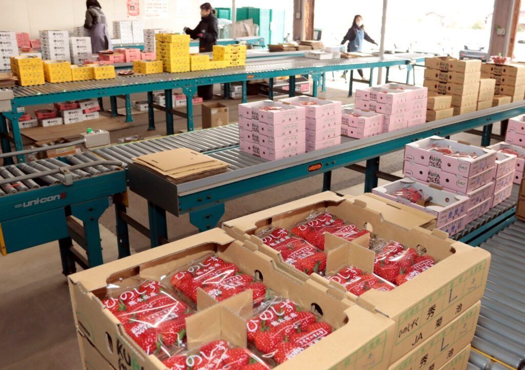 d7b7918f2f539ee4d2780624f480b001-1024x723