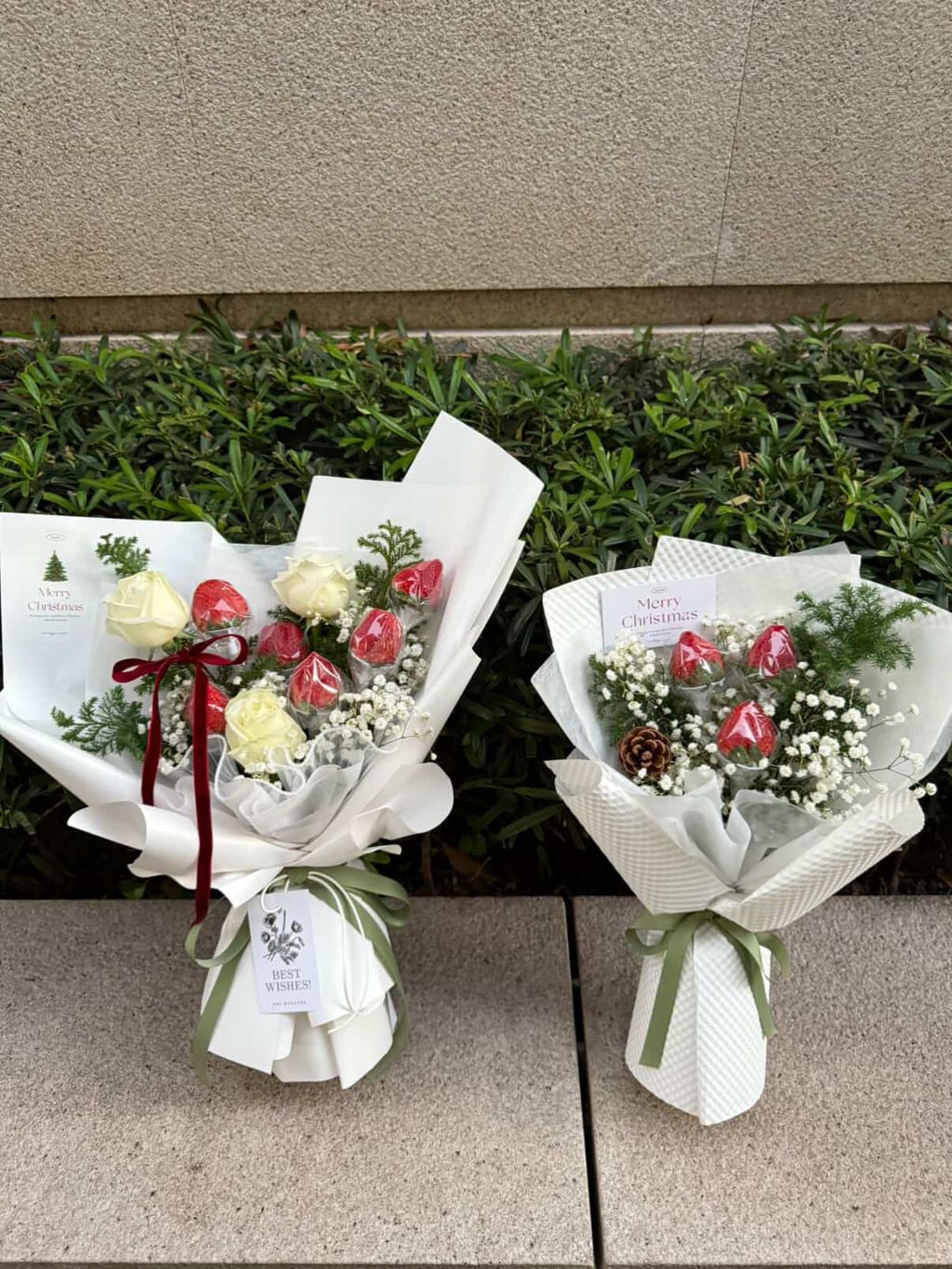 image_7F19F8D8-BC5C-4552-ABF1-6D4F06425677_1774571354