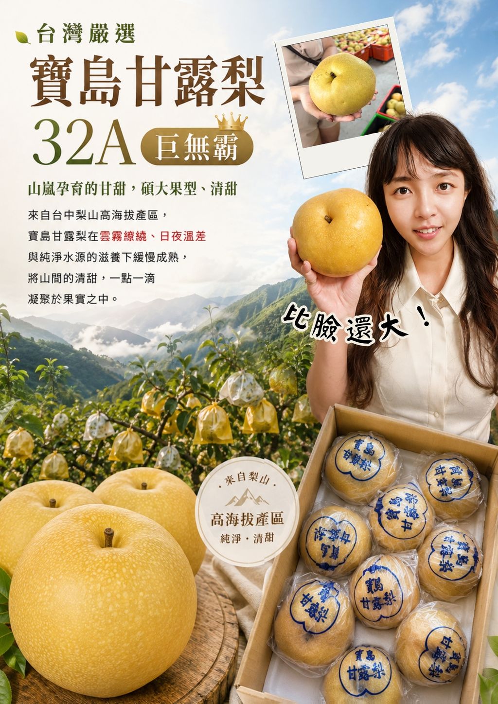 女王禮盒DM(2)
