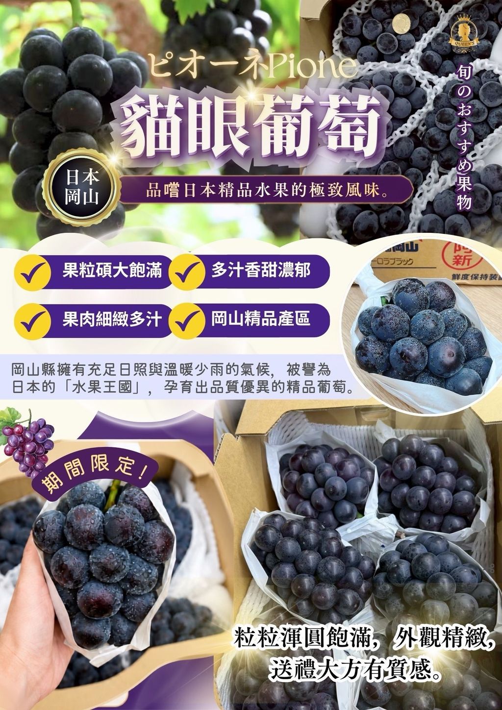 image_2C7C3098-3D4F-42F8-A200-F3CD608D8A47_1791048699