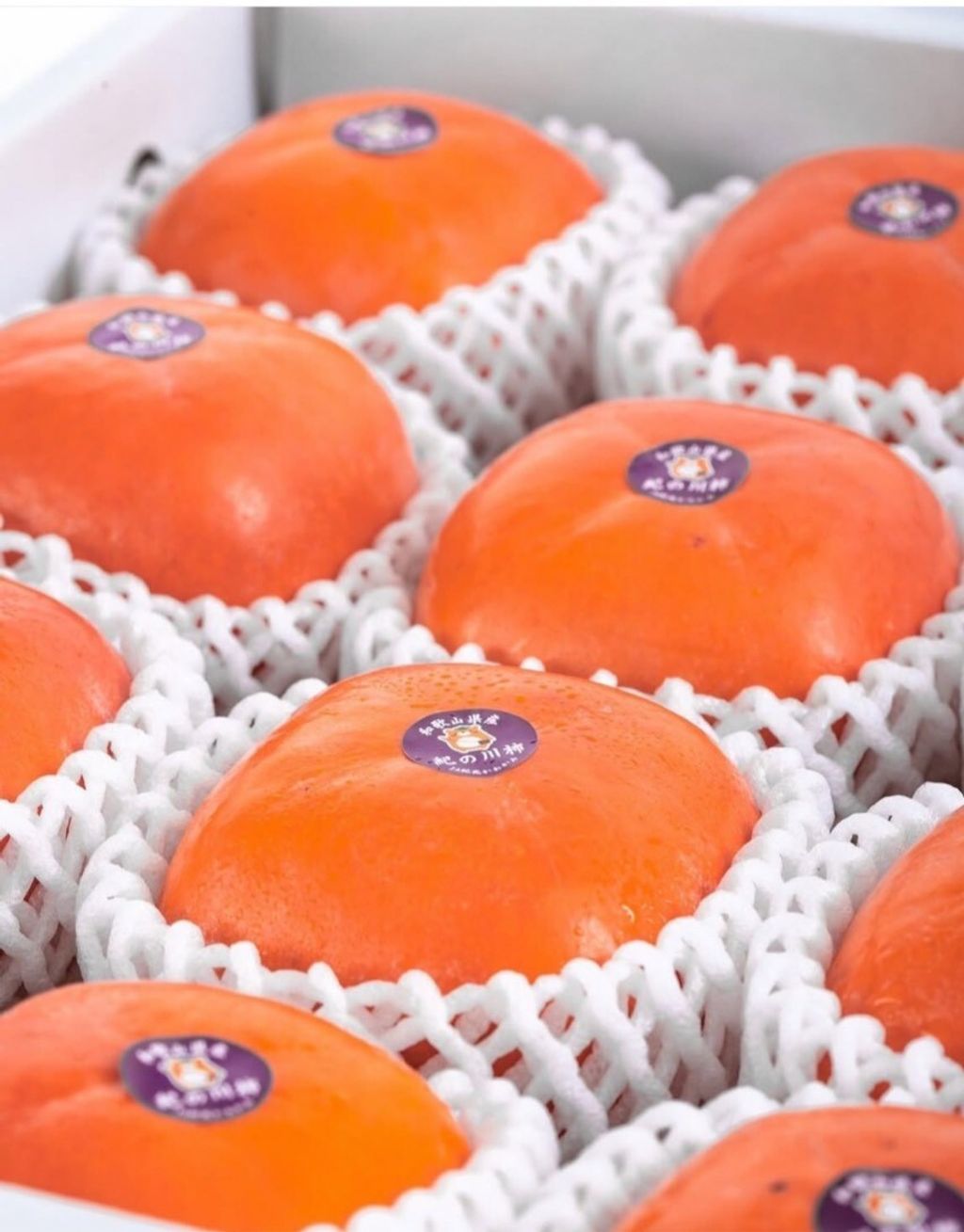 LINE_ALBUM_日常水果照_251023_3