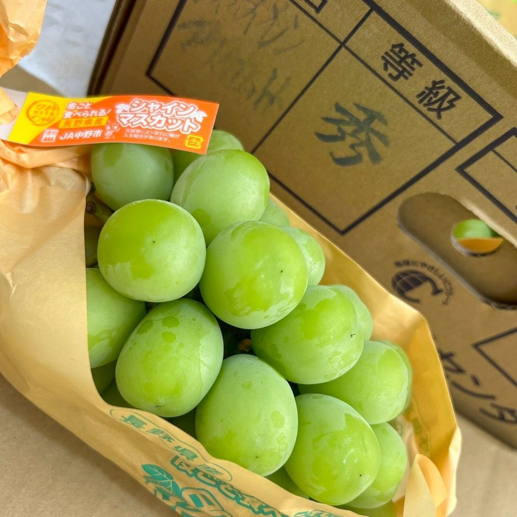 LINE_ALBUM_日常水果照_251023_7