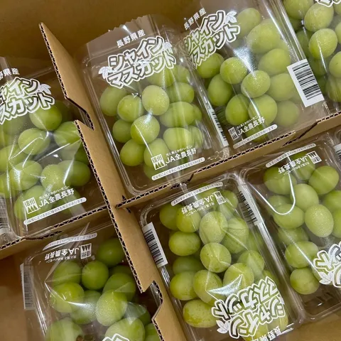 LINE_ALBUM_日常水果照_251023_8