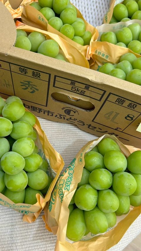 LINE_ALBUM_日常水果照_251023_6