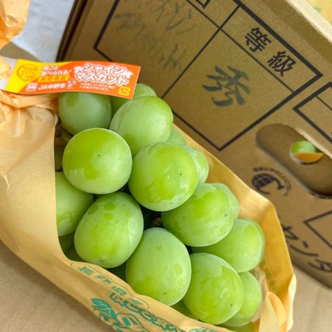 LINE_ALBUM_日常水果照_251023_7