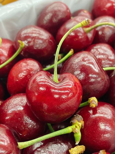 8CE58BD8-D909-4D59-BD30-EEA0602C5DE6