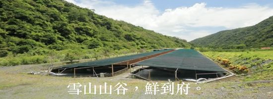  | 鱘龍谷