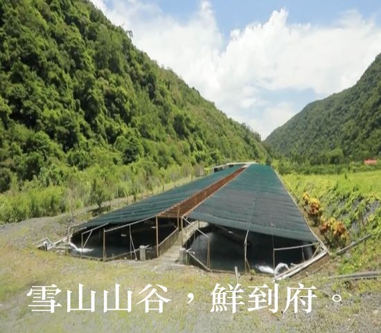  | 鱘龍谷