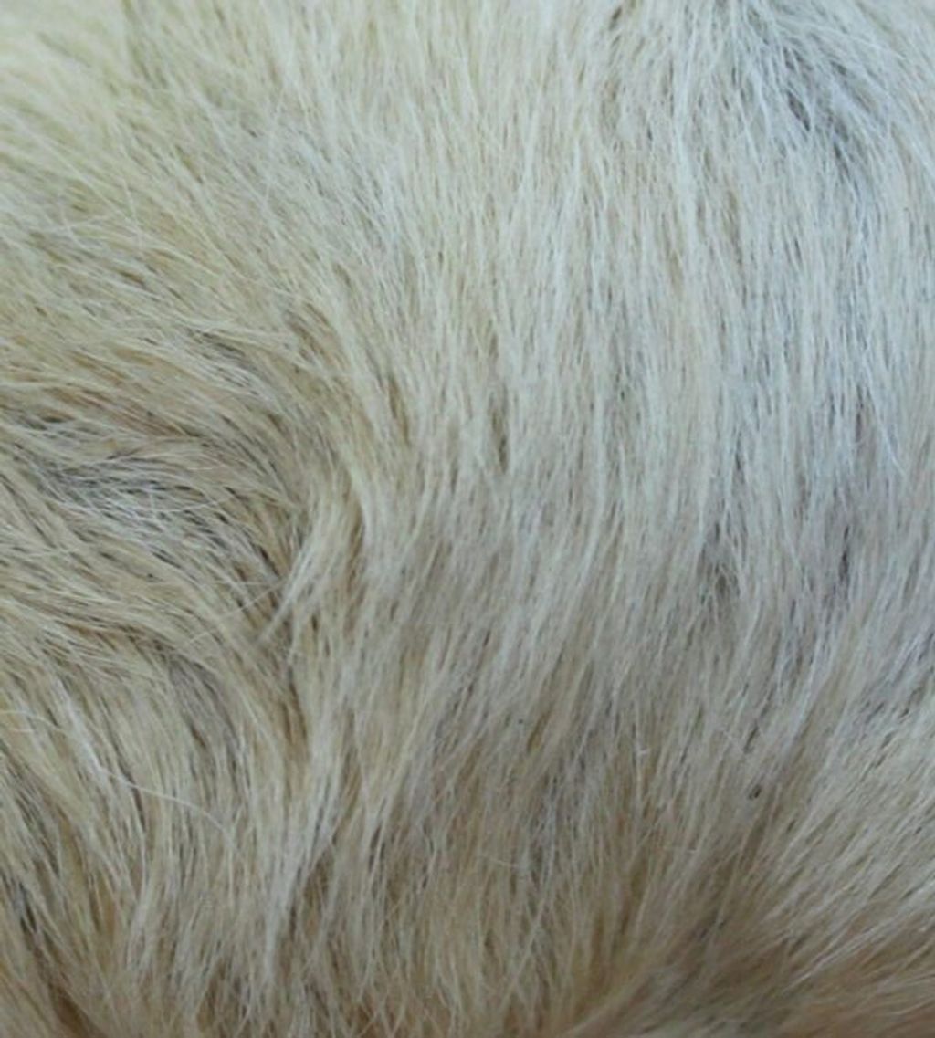 ATG-Product-19-23-600x666