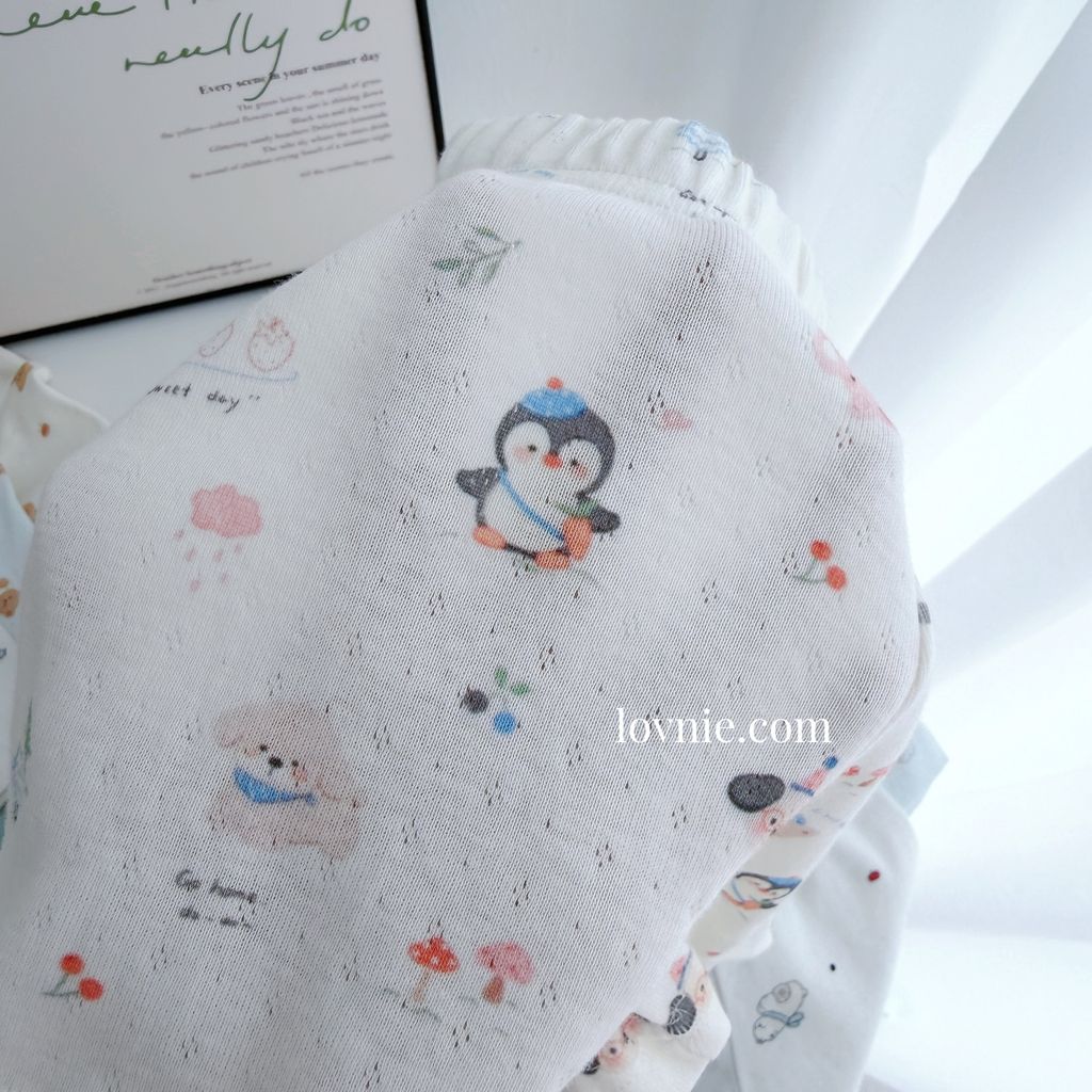 image_4357A81E-6424-4671-B356-3039FF9241D5_1775003642