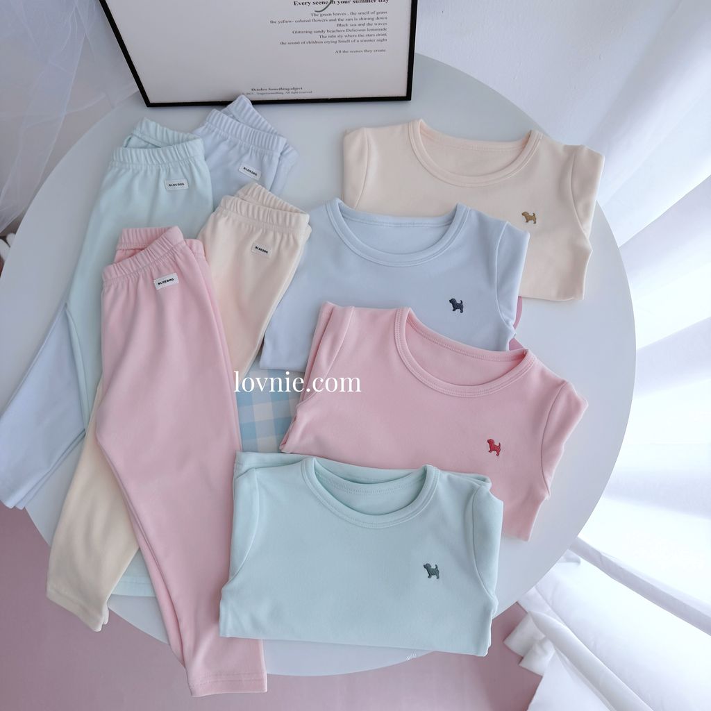 image_C22DEB3E-8882-4A52-B0C2-582F99D73EA5_1775037438