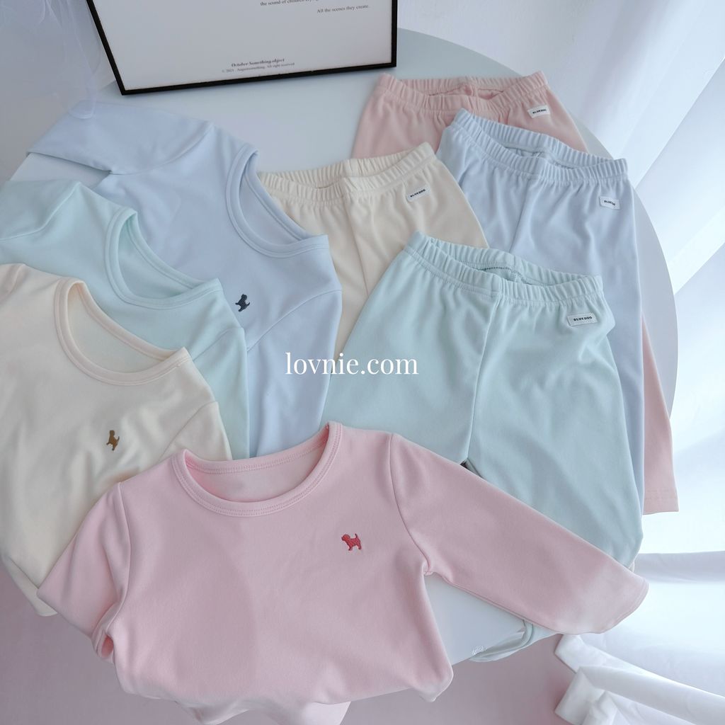 image_56814569-75BC-440A-AE4D-F6FF318DD744_1775037438