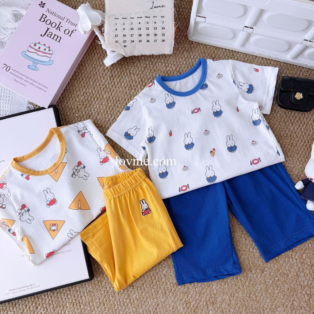 image_221D7AD9-533C-4774-93F5-D35CDCC9D5C2_1782275925