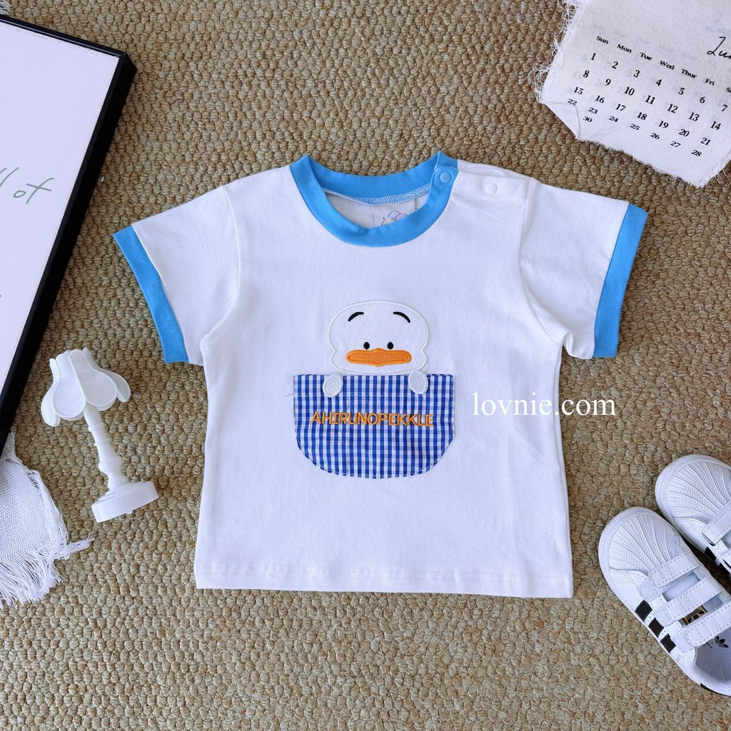 image_169BD647-0A09-4971-96C7-DF16ADE7CF35_1782279079
