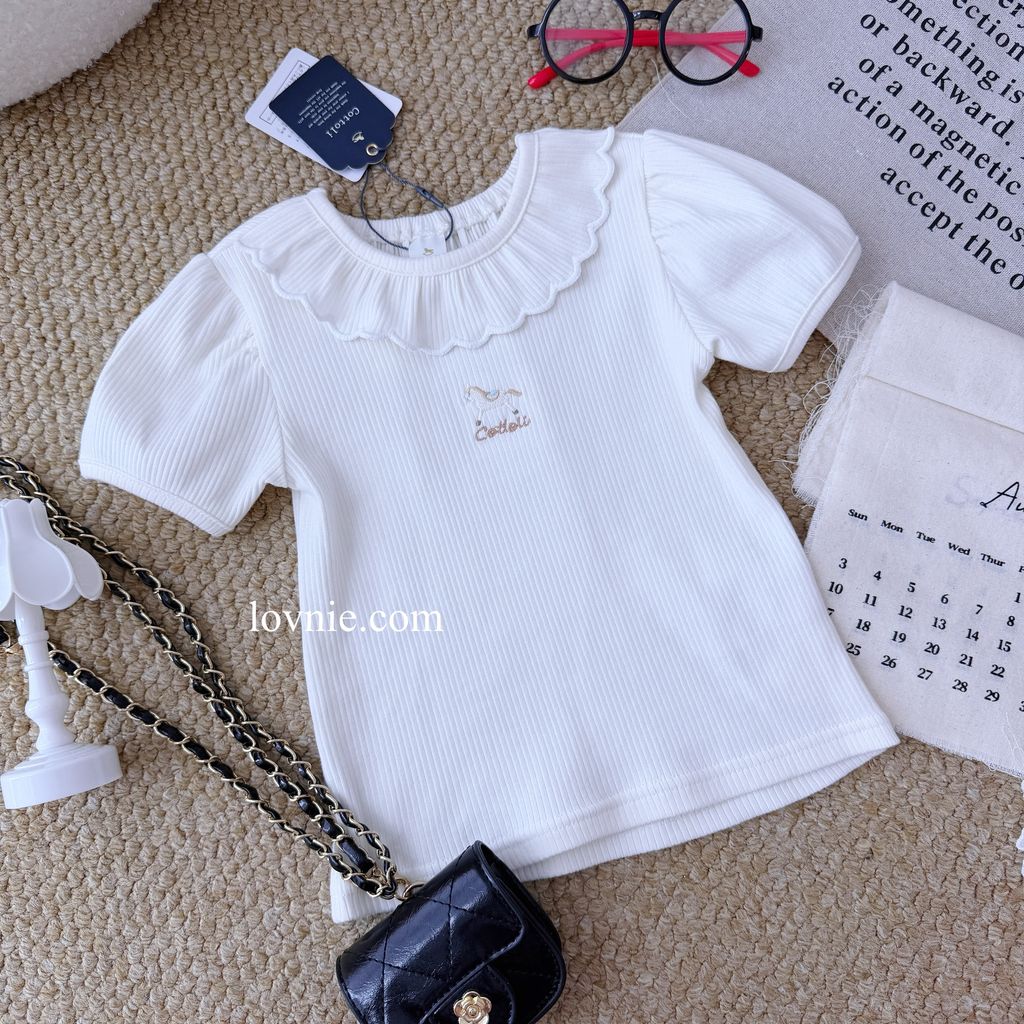 image_E63FA10A-57D4-463C-8EA6-BA590D59AD72_1785812509