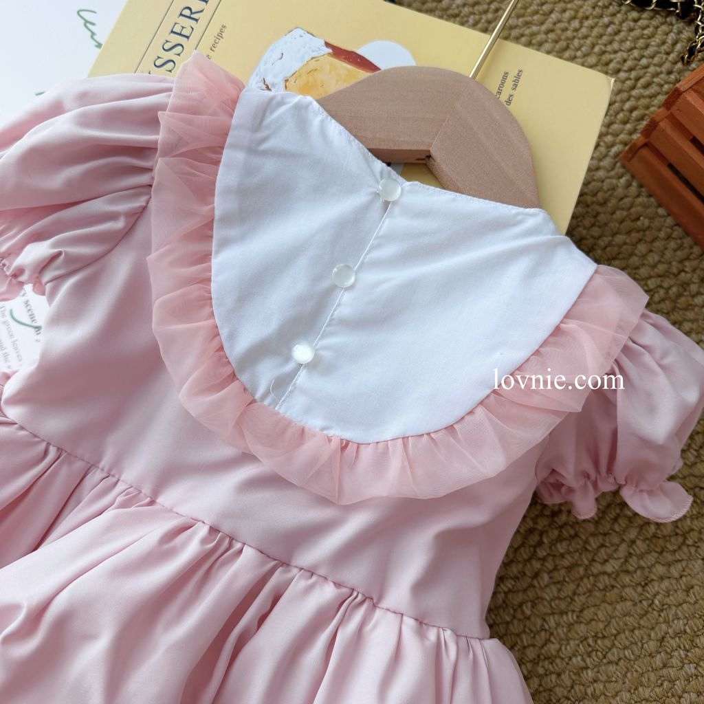 image_F8A4ECBC-076A-444D-A5D9-E87381D84D28_1787213249