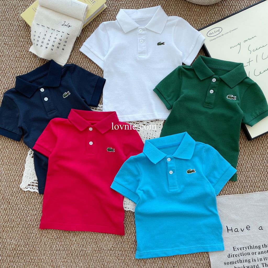 image_61931F89-DE50-41E8-8927-C0FD1303E68E_1752647955