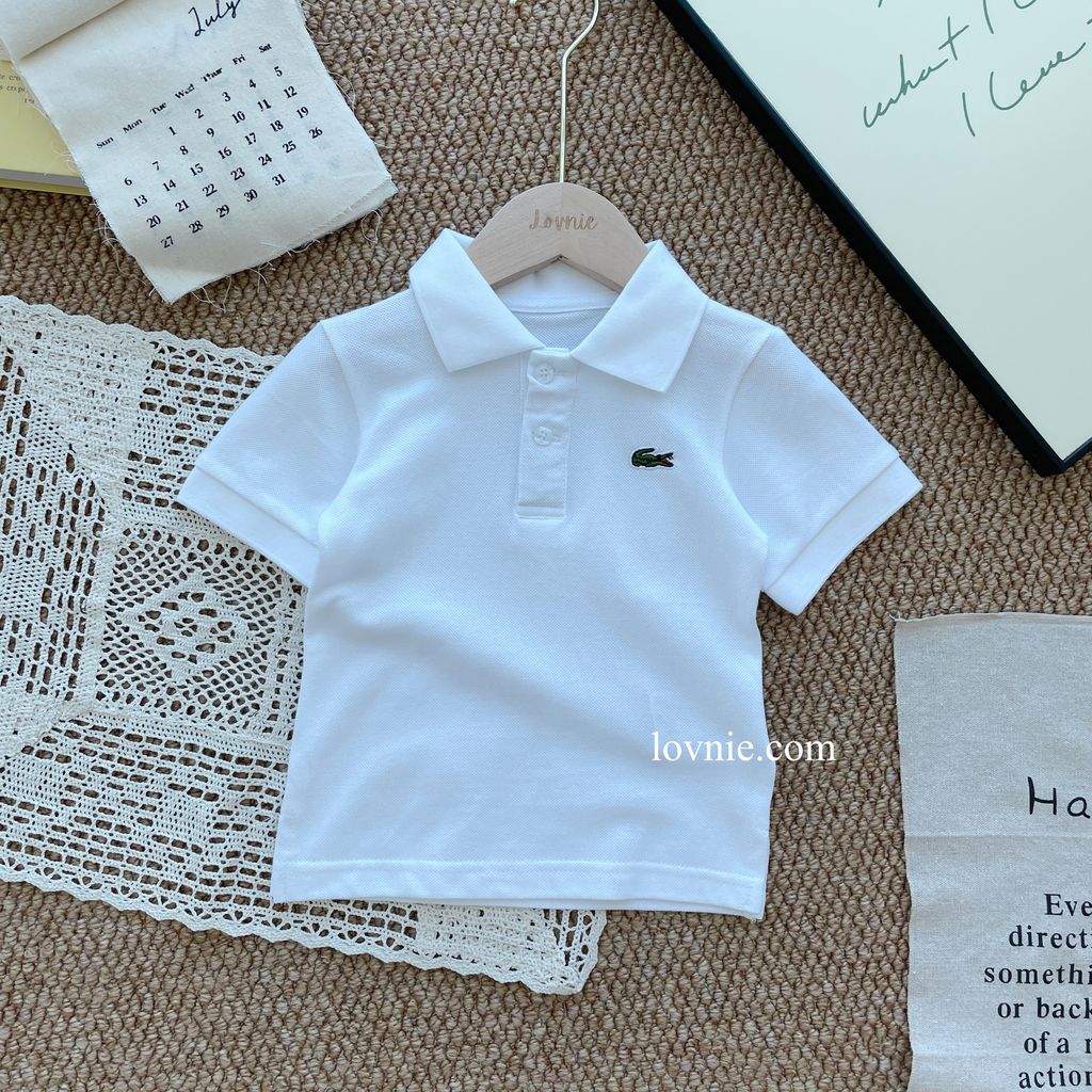 image_7E608761-8B6B-41B7-B83F-EB3FDD9607BD_1752647956