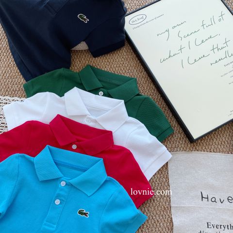 image_1190A530-2CB0-4425-9926-6C9F8CD51CCE_1752647956