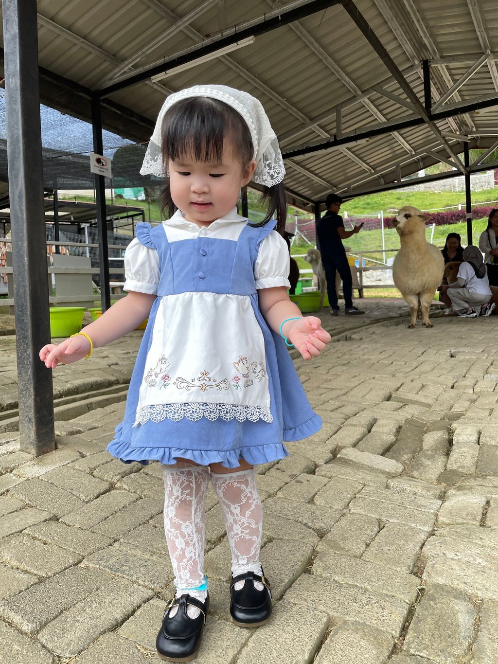 image_31ACE369-00F9-4762-9030-D946F1B67CC5_1753867587