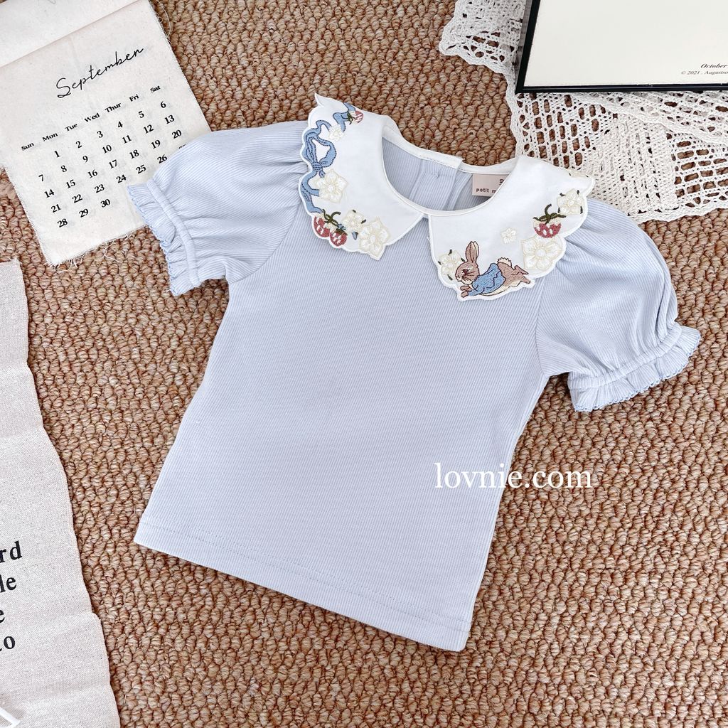 image_1B1D64B8-8FF9-4DC1-9C35-E51C6F940882_1757480964