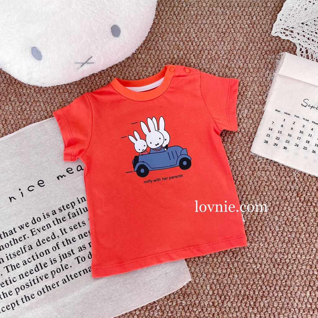 image_B75E51C9-A121-463A-BFC7-AF52AFF72AD6_1757481743