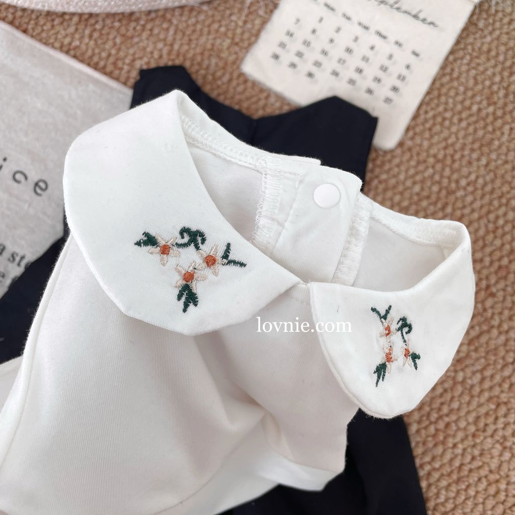 image_862948E2-E0B4-4686-8A74-8CE0423AA4D4_1758800446