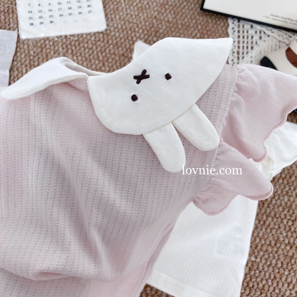 image_A5D5A975-43CB-4959-BDBD-22DF48A81ACC_1758865490