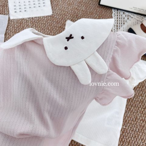 image_A5D5A975-43CB-4959-BDBD-22DF48A81ACC_1758865490