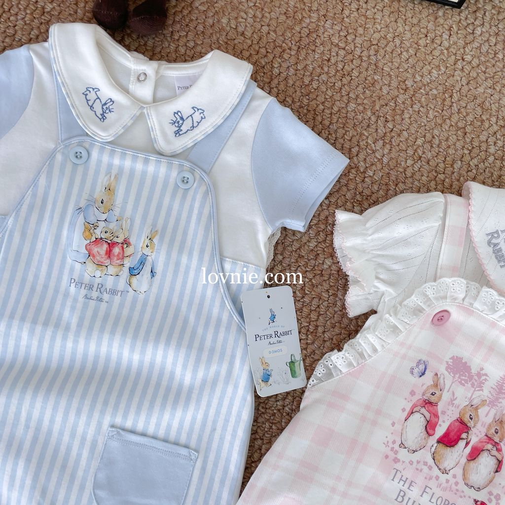 image_8F62FA6A-1E8F-4EDF-A555-C2118B73AB4D_1761280895