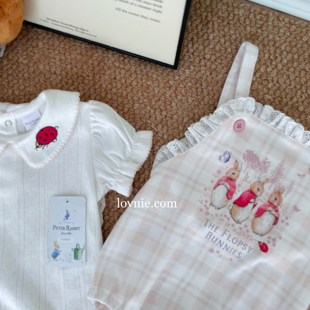 image_6FE07360-1D40-4DE7-9366-4B60D04DC22E_1761281004