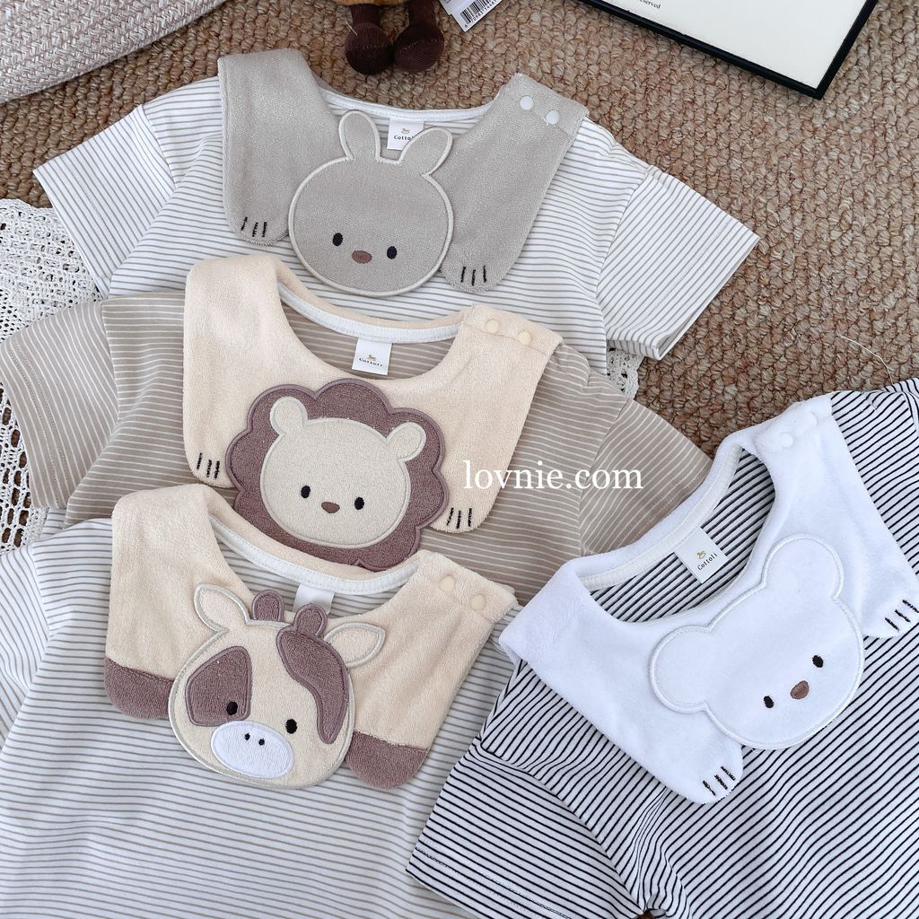 image_FC6FA193-BE88-4AAB-A003-4873D3F50819_1761281134