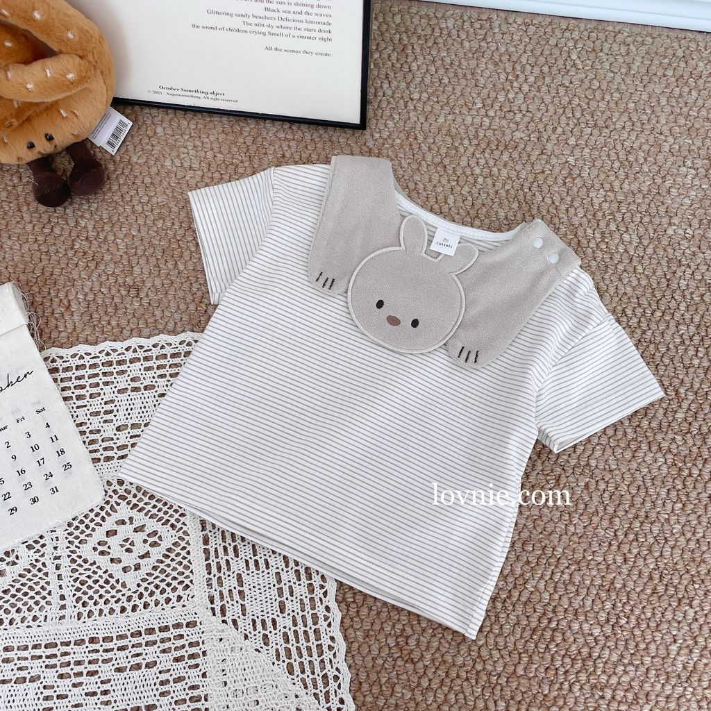 image_935AC2C2-FC42-4B57-97C9-DB8AC82DDC86_1761281134