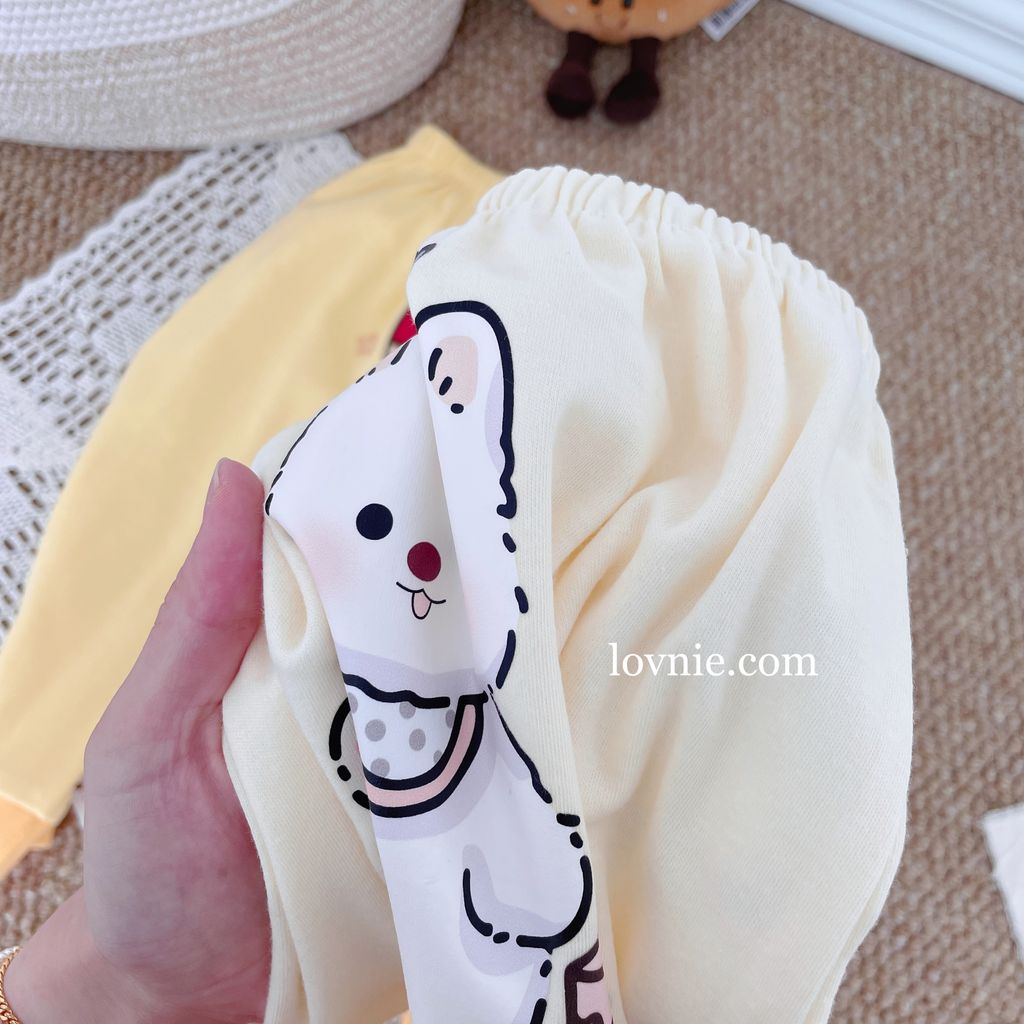 image_1C08B46E-2561-4815-BD11-632F8BBA1A17_1761281616