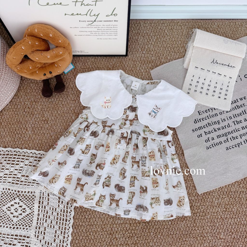 image_0477F57D-AAC9-4122-843E-9F143ECB3AC3_1764049059